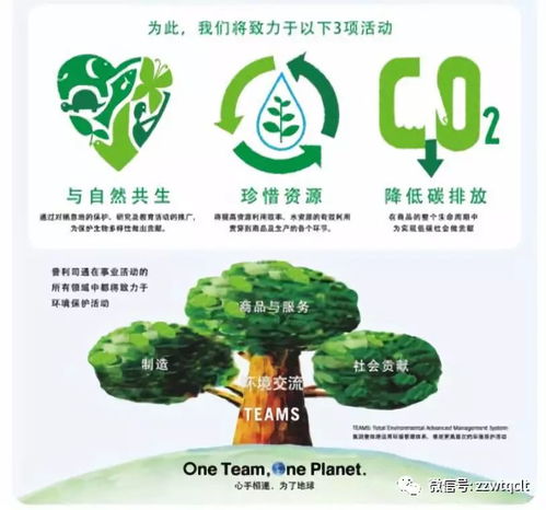 促夏季萬物華實,保護環(huán)境,大力發(fā)展節(jié)能環(huán)保輪胎翻新事業(yè)