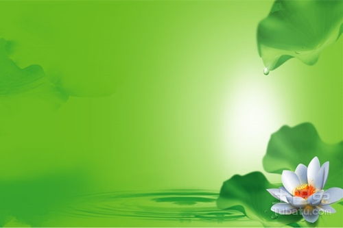 地球是我家,綠色環保小知識送大家