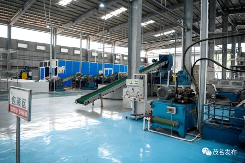 莊悅?cè)赫{(diào)研茂名農(nóng)墾工作 推動(dòng)墾地在新發(fā)展階段深度融合發(fā)展